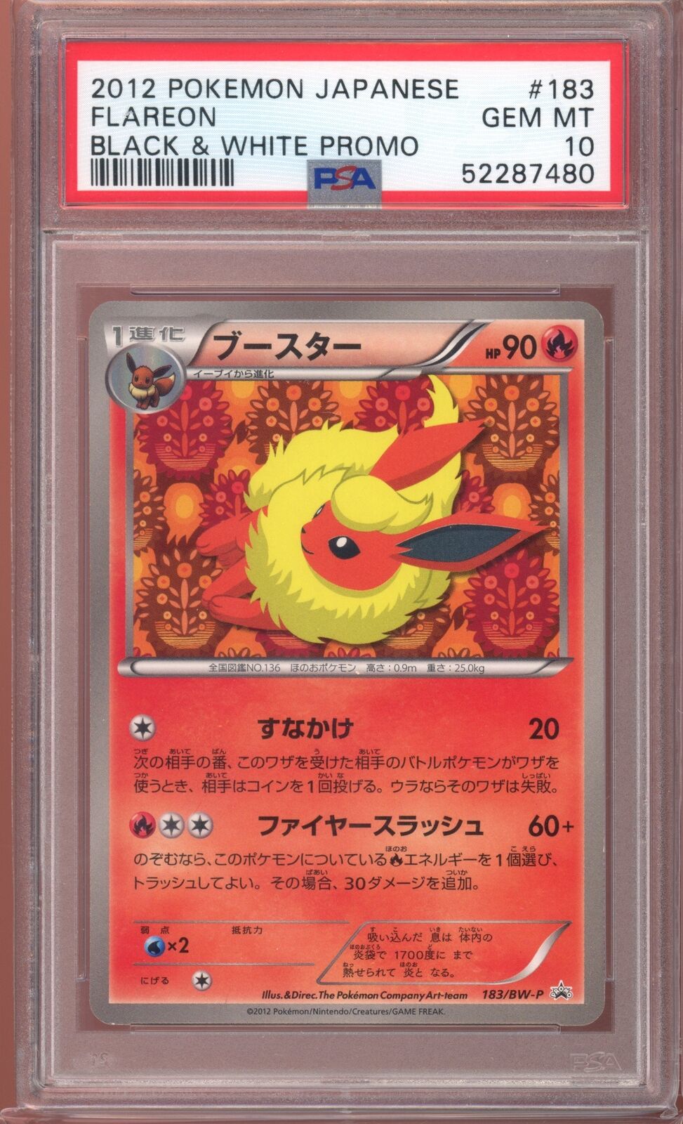 PSA 10 Flareon Black & White Promo 183/BW-P Japanese Pokemon Card