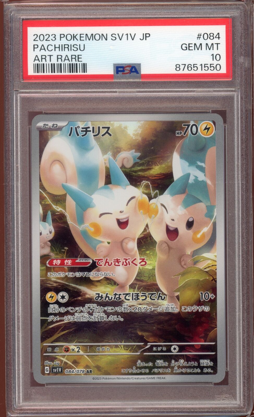 PSA 10 Pachirisu AR sv1v Violet EX 084/078 Japanese Pokemon Card