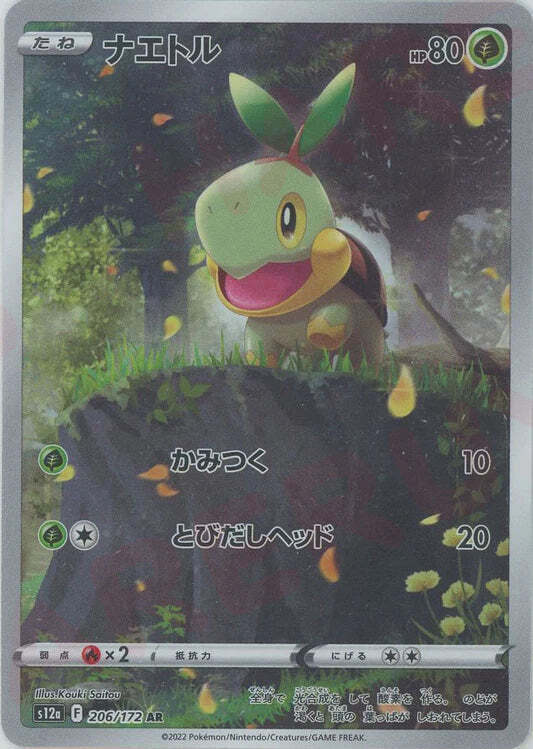 Turtwig AR 206/172 NM/M Vstar Universe s12a Japanese Pokemon Card Art Rare