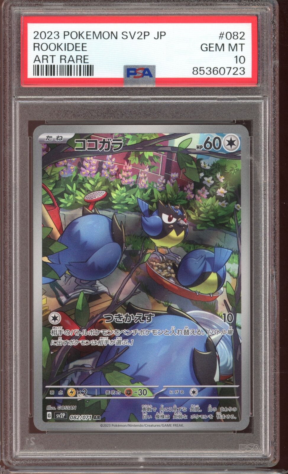 PSA 10 Rookidee AR sv2P Snow Hazard  082/071 Japanese Pokemon Card