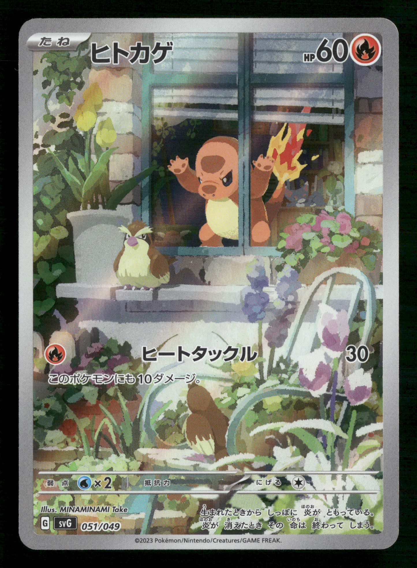 Charmander 051/049 SVG EX SPECIAL SET Japanese Pokemon Card NM/M