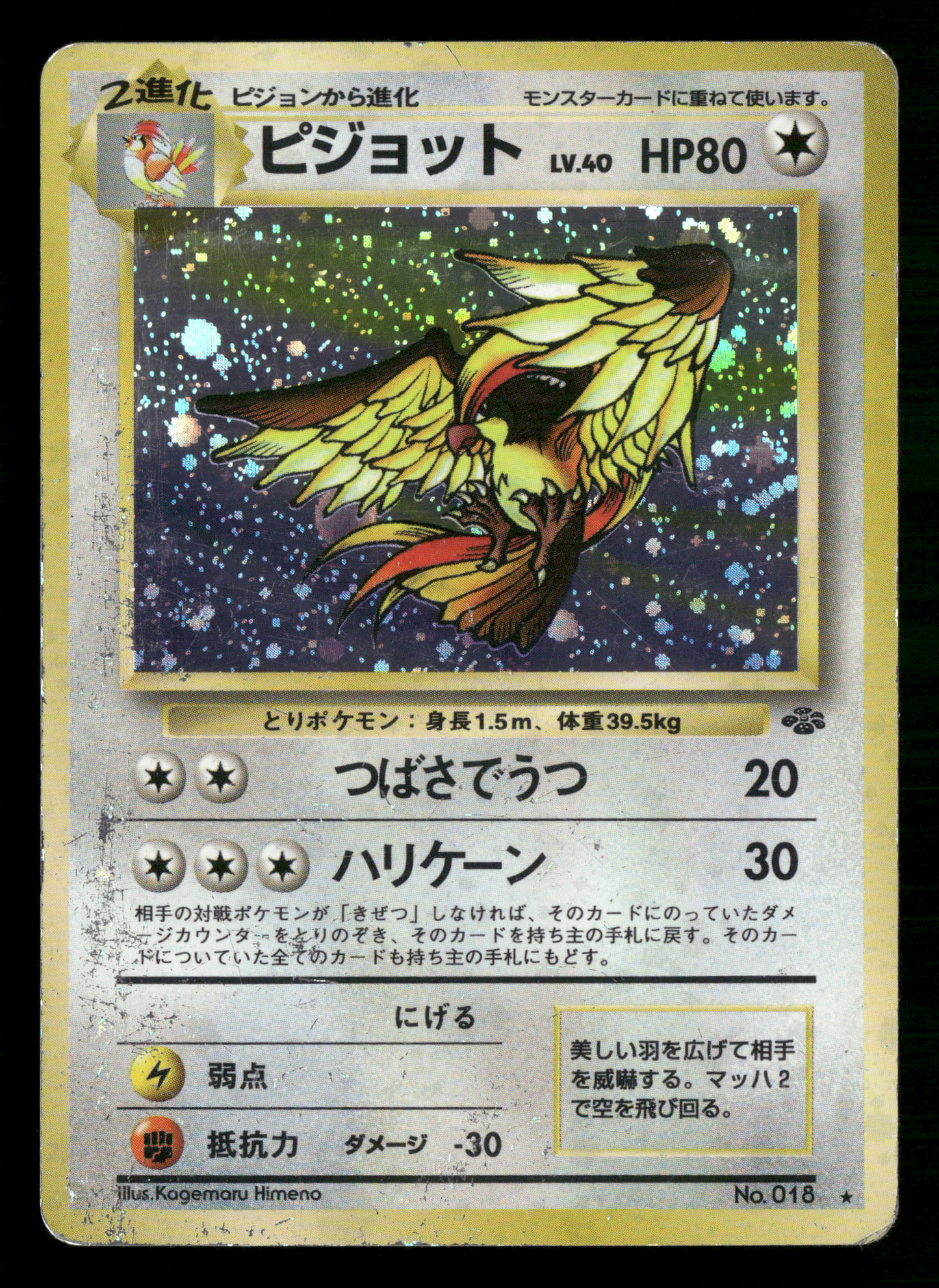 Pidgeot Holo No.018 Jungle Set Japanese Pokemon MP