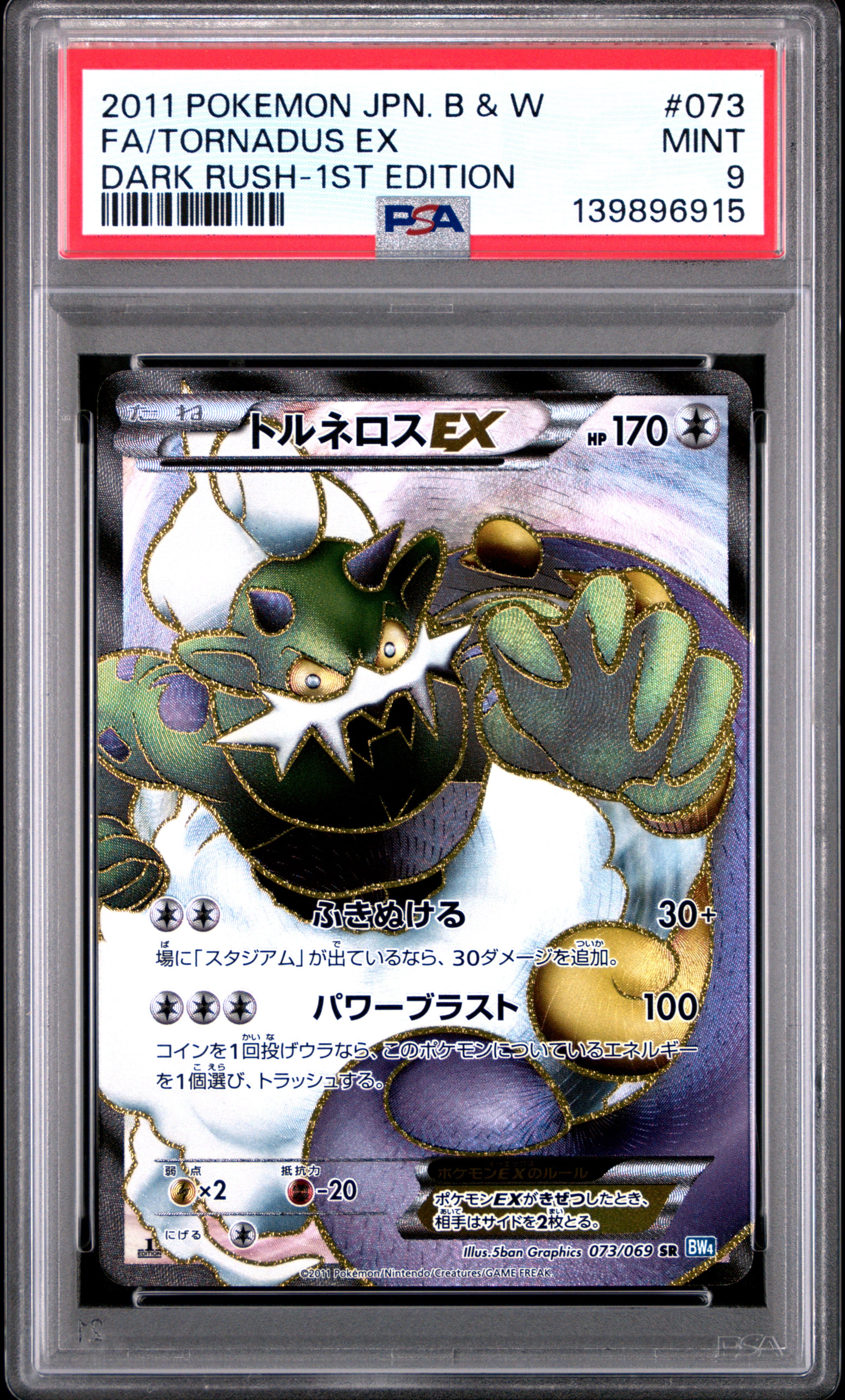 Early Modern Era (BW/XY/SM 2011-2019) – POKE360UK