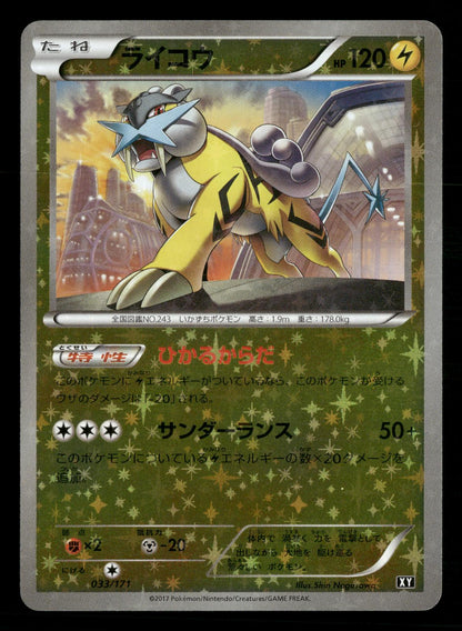 Raikou 033/171 The Best of XY Reverse Holo Pokemon Japanese NM/M