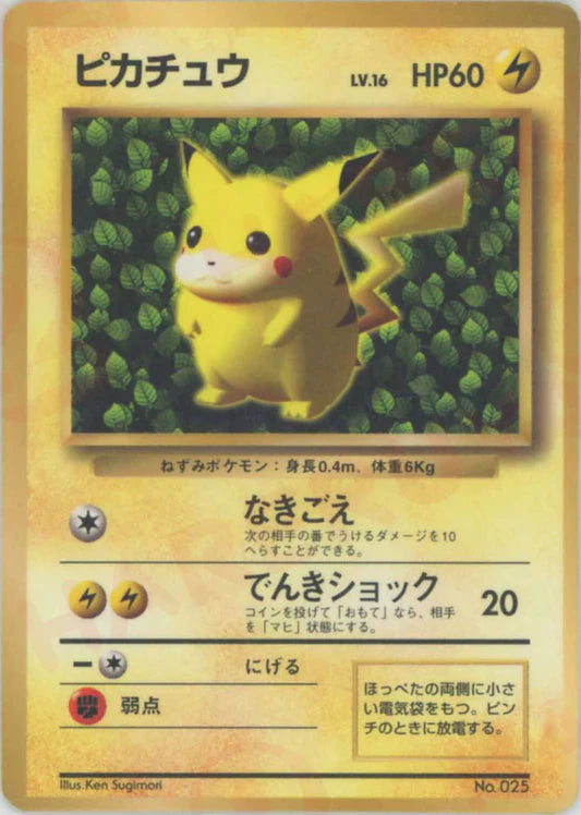 1996 Pikachu Ivy Introduction How To Play Set Japanese Promo