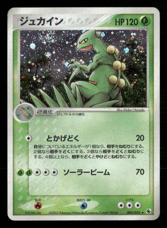 Sceptile 003/055 Unlimited Holo Rare Expansion Pack ADV Pokemon Japanese MP