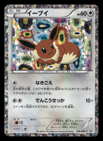 Eevee 189/BW-P Collection File Set Pokemon Japanese Lightly Played