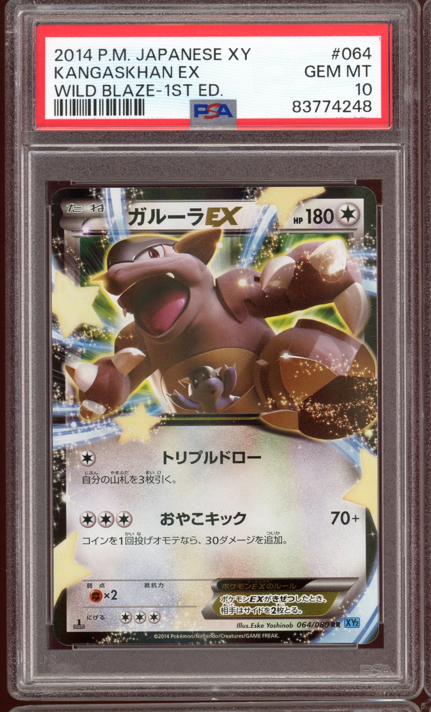 2014 PSA 10 Kangaskhan EX 1st Edition 064/080 Wild Blaze XY2