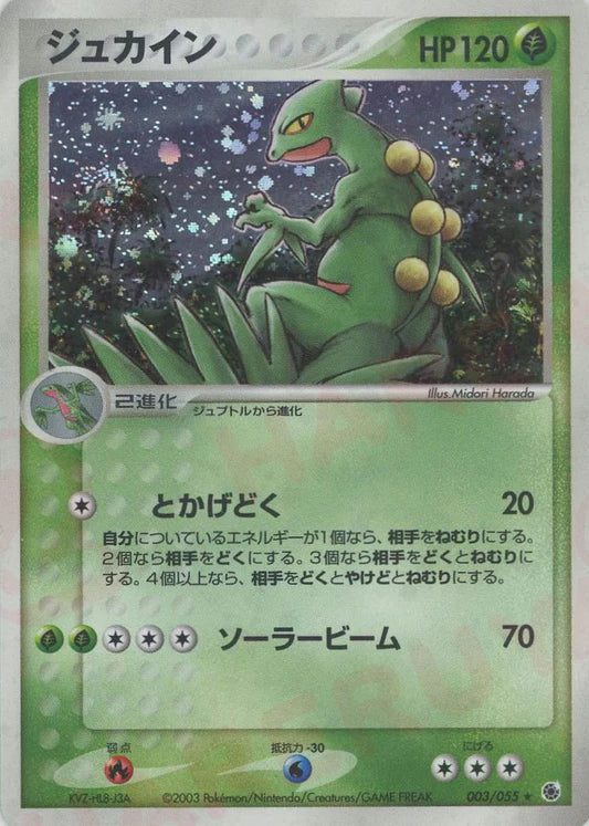 Sceptile Holo 1st Edition 003/055 Ruby & Sapphire EX Japanese Pokemon Card Game